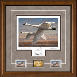 2016 Federal Duck Stamp Print Executive Edition