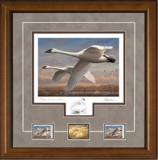 2016 Federal Duck Stamp Print Executive Edition