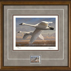 2016 Federal Duck Stamp Print Collector's Edition