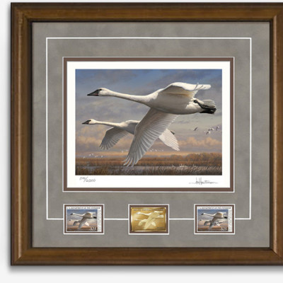 2016 Federal Duck Stamp Print Medallion Edition