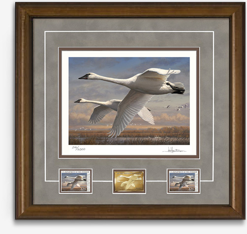 2016 Federal Duck Stamp Print Medallion Edition